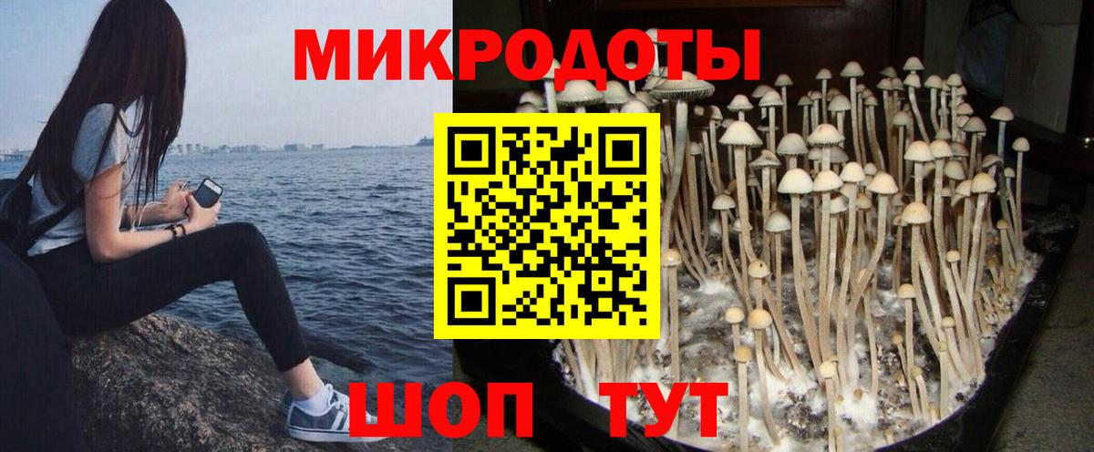 Ростов Великий  Псилоцибиновые грибы Psilocybine cubensis  Галлюциногенные грибы мухоморы  Вход с VPN 